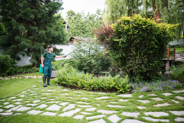 Reliable Burlingame, CA Pest Control Solutions