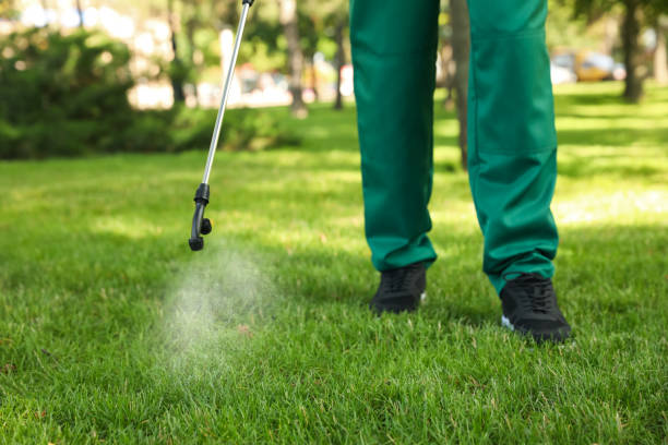Best Pest Removal Services  in Burlingame, CA