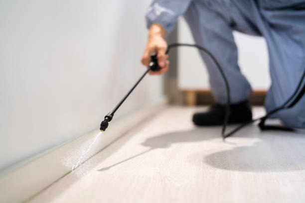 Best Residential Pest Control  in Burlingame, CA