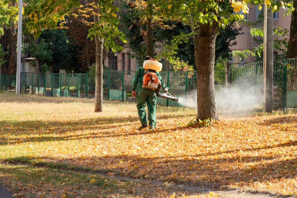 Best Mosquito Control Services  in Burlingame, CA