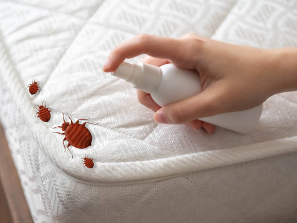 Best Exterminator Services  in Burlingame, CA