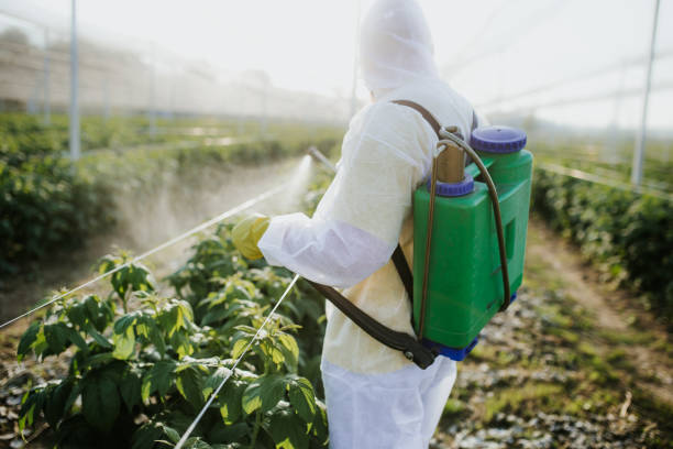  Burlingame, CA Pest Control Pros